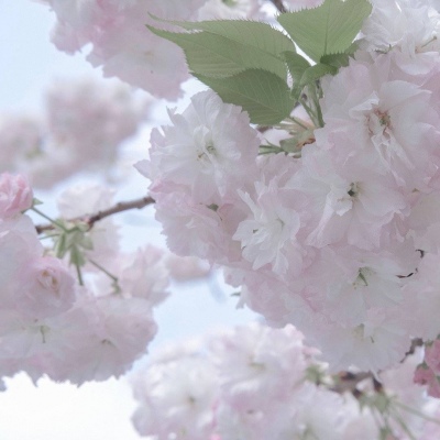 兽设动态姿势绘画参考福瑞交流群